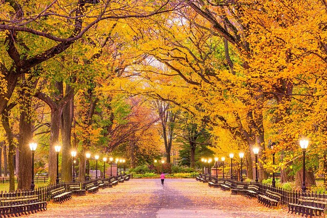 Central Park Private Pedicab Tour (60 mins) - Key points to know before you book