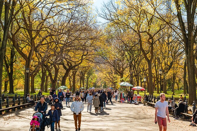 Central Park Private Pedicab Tour (60 mins) - Gapstow Bridge and a classic New York view