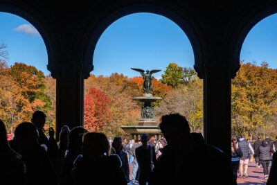 Central Park Private Pedicab Tour (60 mins)