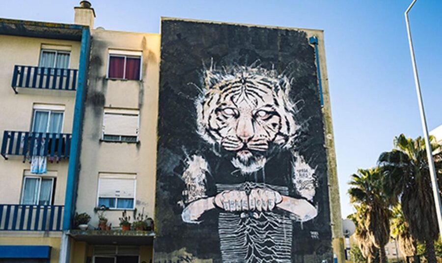 Chaparru<code>s Street Art Tuk Tuk Tour 3 H – Key Points to Know Before You Book’ /></p>
<ul>
<li><strong>Three hours across several Lisbon districts:</strong> The route can include Marvila, Beato, Alcântara, Moscavide, Graça, and other parts of the city.</li>
<li><strong>Private group for up to two people:</strong> The $205 price covers the group, not each individual person.</li>
<li><strong>Big names and smaller works:</strong> You may see pieces by Vhils, Bordalo II, Felipe Pantone, Tamara Alves, Add Fuel, and many others.</li>
<li><strong>A guide can add local contact:</strong> Lucas has been praised for his considerate manner and for making an unexpected connection with a street artist.</li>
<li><strong>Not just a central-city ride:</strong> The tour reaches traditional neighborhoods and renewed areas such as LX Factor.</li>
<li><strong>Ask for more artist background:</strong> The quality of explanation may depend on how much detail you request from your guide.</li>
</ul>
<h2>Lisbon’s Street Art Is Spread Across the City</h2>
<p><img width="900" height="536" decoding="async" src=