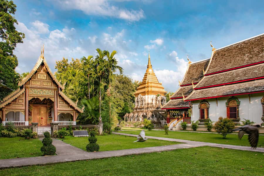 Chiang Mai Light: Tuk Tuk Night Tour with Temples & Markets - Who will enjoy this tuk-tuk evening