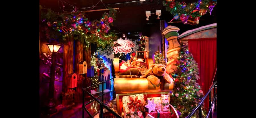 Christmas in New York: Pedicab Tour & Rockefeller Tree - What this Christmas pedicab ride is really like