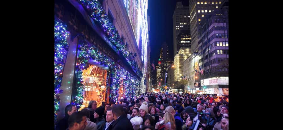 Christmas in New York: Pedicab Tour & Rockefeller Tree - Central Park in winter
