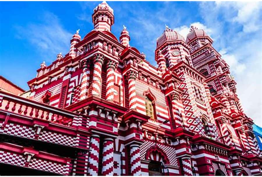 Colombo: Private Guided Tour of the City by Tuk-Tuk - What the guides add to the ride