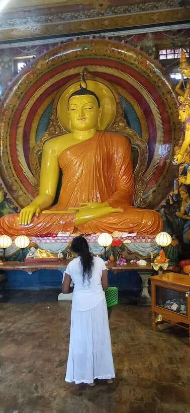 Colombo Sightseeing Private Tour by Tuk Tuk MorningOREvening - Viharamahadevi Park and the final tea stop