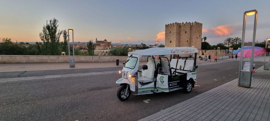 Córdoba: Guided City Tour by Tuk-Tuk - Key points to know before booking