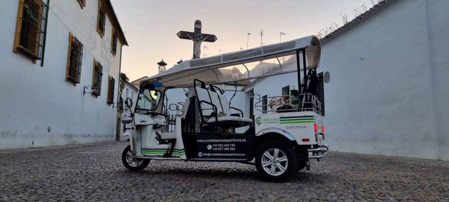 Córdoba: Guided City Tour by Tuk-Tuk - Palacio de Viana, Santa Marina, and La Merced