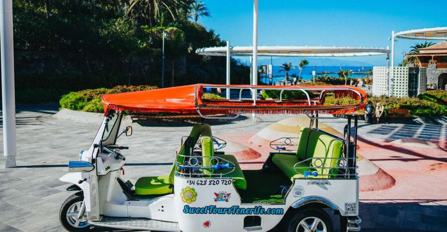 Costa Adeje: Double Tuk Tuk Tour - The high viewpoint and the secret stop