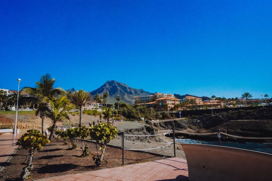Costa Adeje: Tuk Tuk Tour - Is $28 good value for one hour?