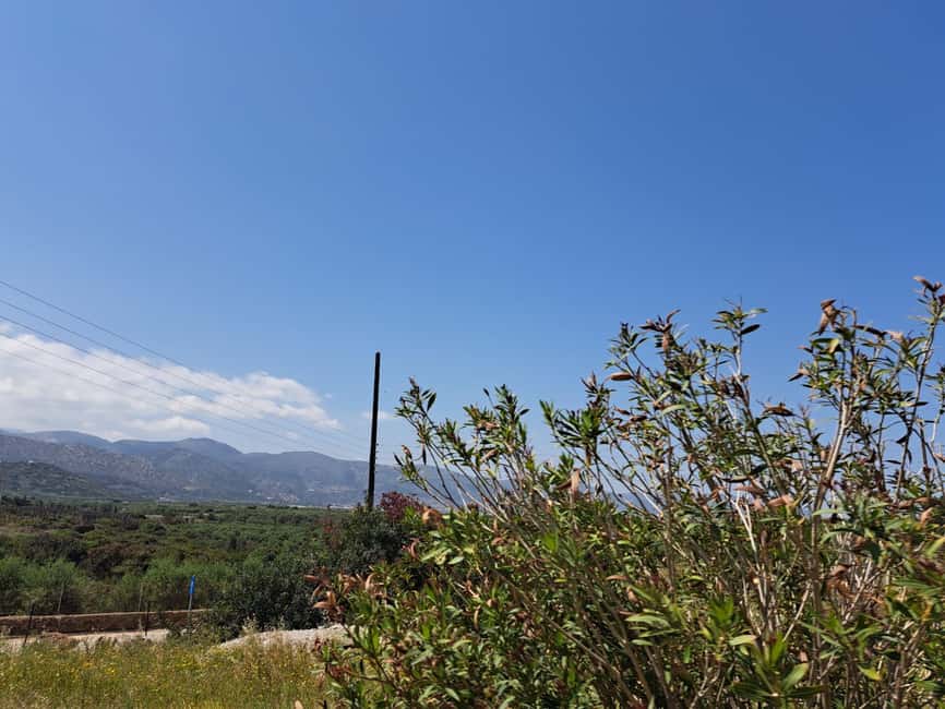 Crete: Malia, Potamos Beach, and Sissi Tuk Tuk Tour - Starting along Malia’s beach road