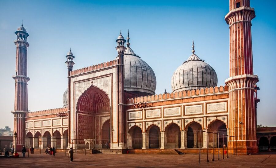 Delhi: Old Delhi City Tour with Tuk Tuk Ride & Street Food - Guides, transport, and the private format