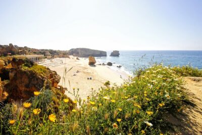 Discover Albufeira in a Tuk Tuk
