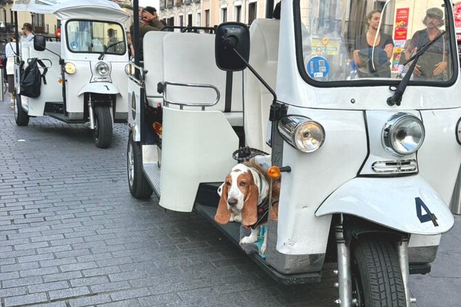 Discover Madrid in a Fun & Eco-Friendly Tuk-Tuk – Private Tour - The guide can make or break the ride