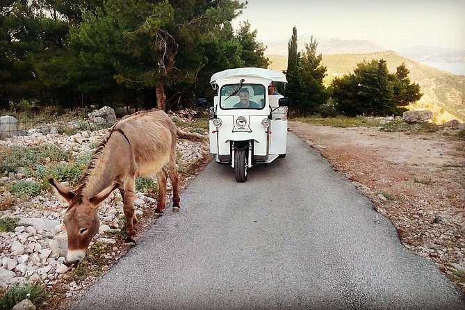 E-Tuk Tuk Tour in Dubrovnik - Climbing Mount Srđ by electric tuk-tuk
