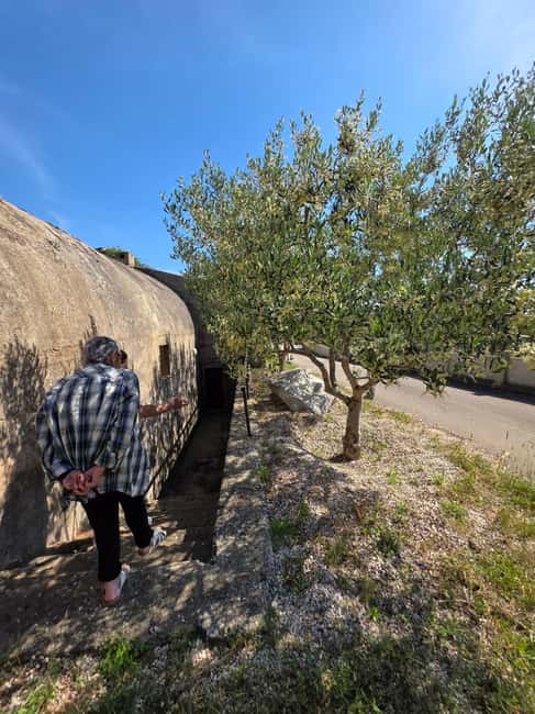 Eco tuk tuk Highlights of Zadar - The quieter corners after the main sights