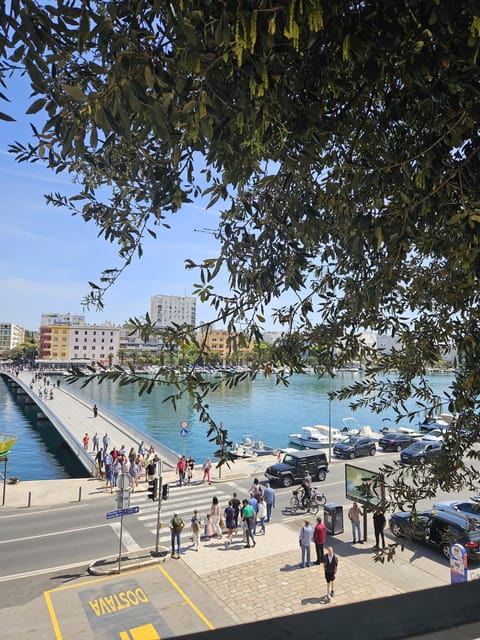 Eco tuk tuk Highlights of Zadar - The Roman Forum and Zadar’s oldest center