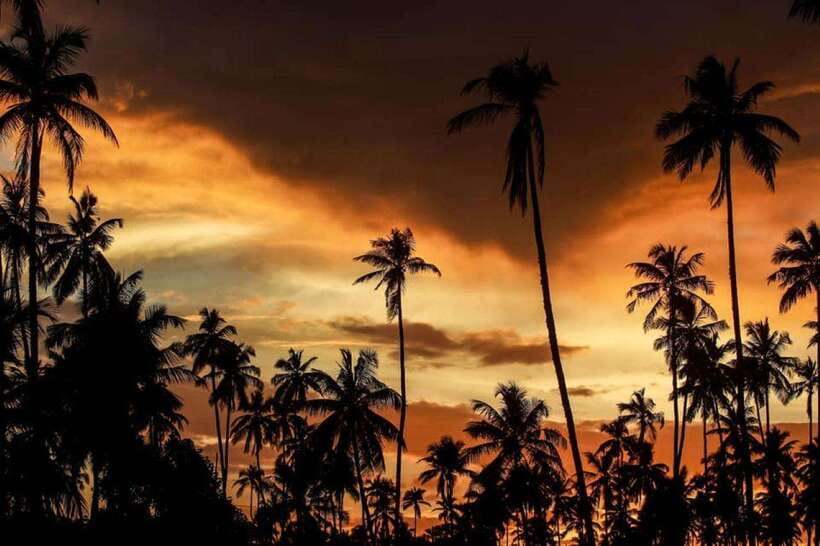 Ella: Adventure day trip to explore Ella by tuk tuk - Key points at a glance