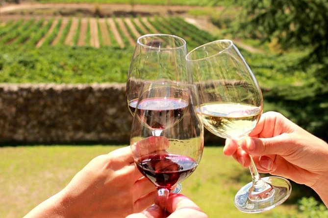 Exclusive Private Tuk-Tuk Tour: Visit to a Sardinian Winery - Key Points to Know Before You Book