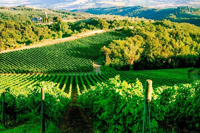 Exclusive Private Tuk-Tuk Tour: Visit to a Sardinian Winery - Is $178.02 Per Person Fair?