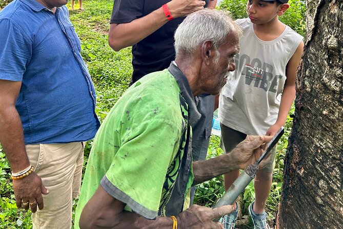 Explore Bentota Village: Guided Tuk Tuk Safari - Bentota by tuk tuk, with local life close at hand