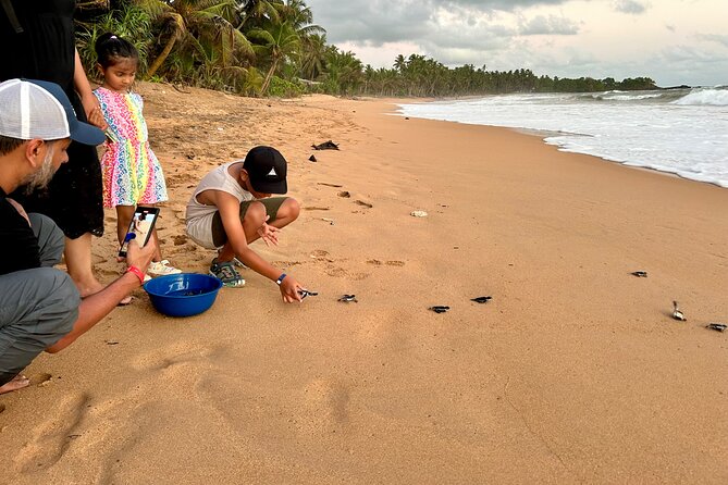 Explore Bentota Village: Guided Tuk Tuk Safari - Who will get the most from this short safari