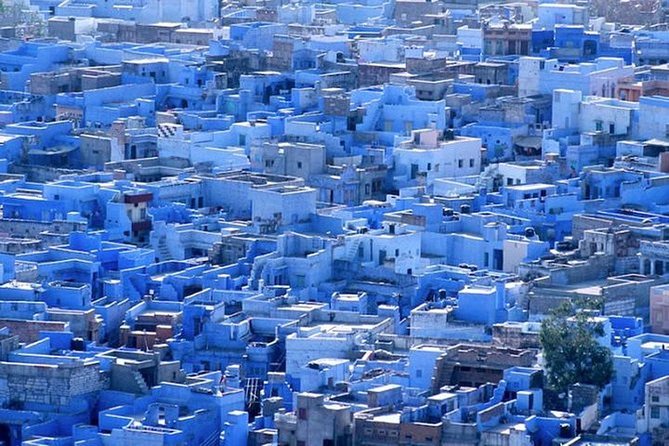 Explore Jodhpur City With Three Wheeler Tuk Tuk - A practical way to see Jodhpur in half a day