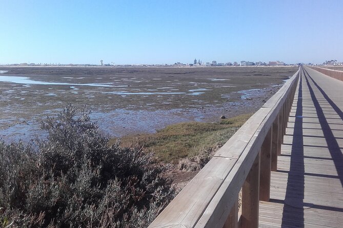 Faro City and Beach Tour on Electric Tuk tuks - Gardens, a high point, and a special tower