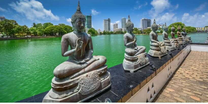 Form Negombo:Morning or Evening Colombo City Tour by Tuk-Tuk - Who should book this four-hour city tour?