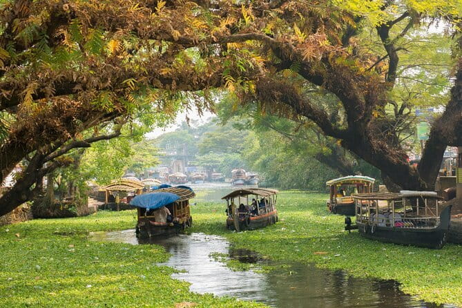 Fort Kochi Tour by Tuk Tuk for Cruise Passengers - The Indo-Portuguese Museum