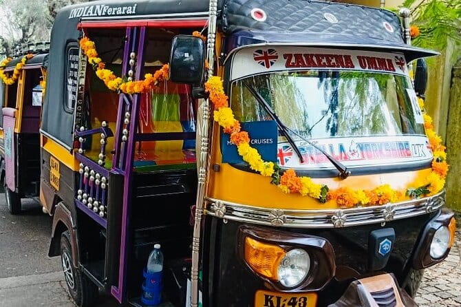Fort Kochi Tour by Tuk Tuk for Cruise Passengers - Chinese fishing nets and the Arabian Sea