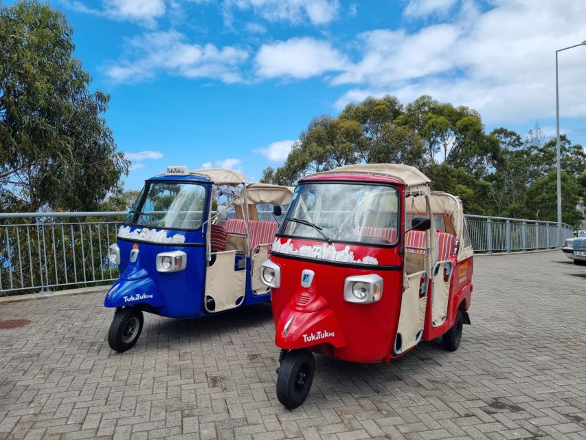 From Funchal: Tuk Tuk Tour to Camara de Lobos and Cabo Girao - Why the tuk-tuk works so well in Funchal