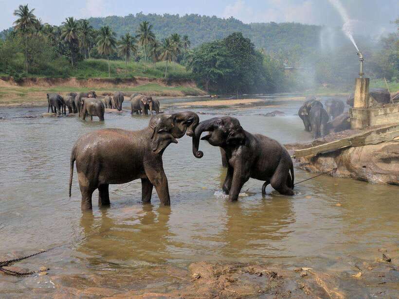 From Kandy: Kandy To Pinnawala Day Tour by Tuk Tuk - Kandy View Points and the Shape of the City