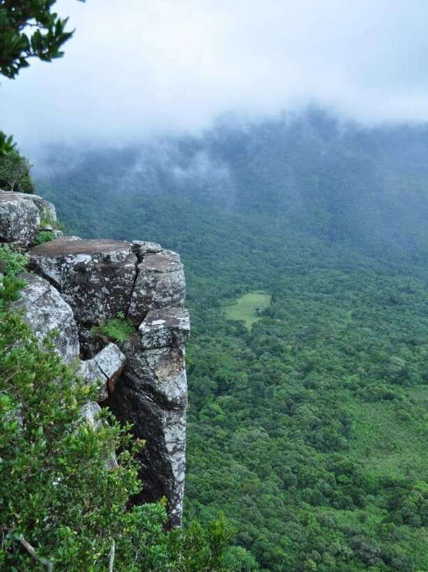 From Kandy: Knuckles Mountain Range Tuk Tuk Safari - What the forest roads add to the day