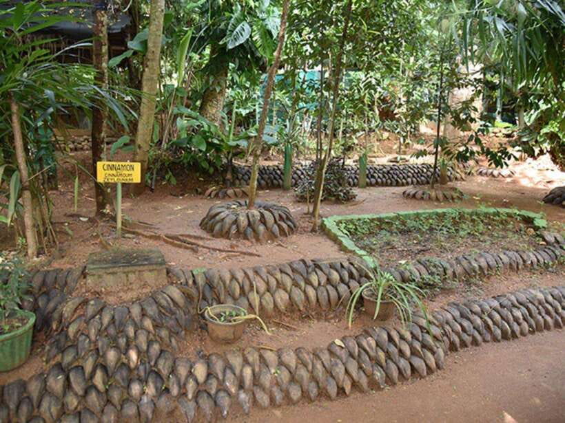 From Kandy: Sigiriya Guided Tuk-Tuk Tour - Key points to know before you book