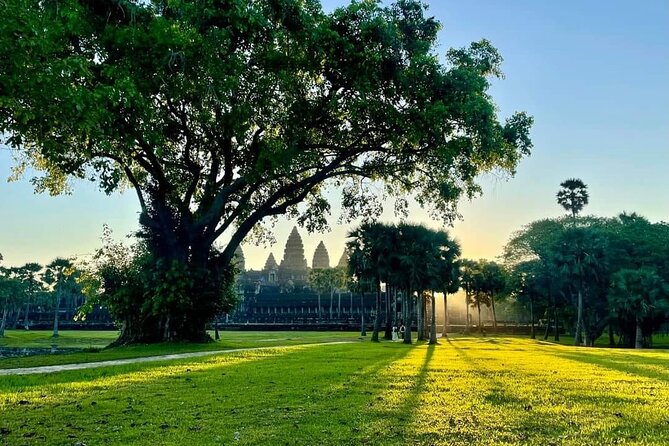 Full Day Angkor Complex by Tuk Tuk - (Optional Sunrise) - Ta Prohm and the temple reclaimed by trees