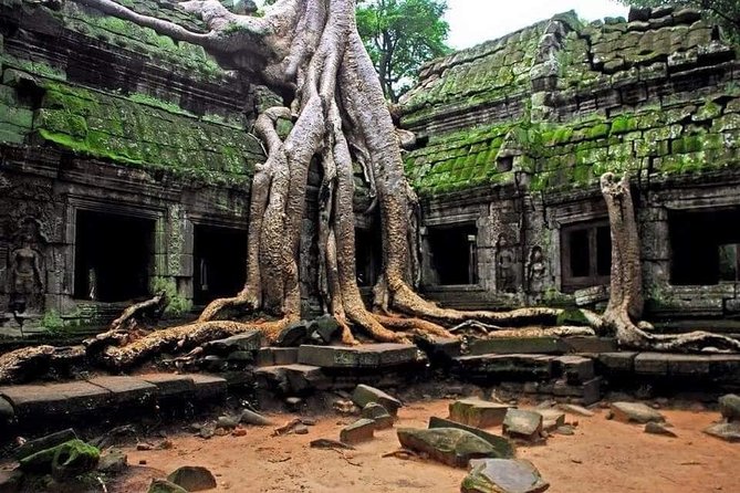 Full Day Angkor Complex by Tuk Tuk - (Optional Sunrise) - The Terrace of the Elephants and royal ceremony