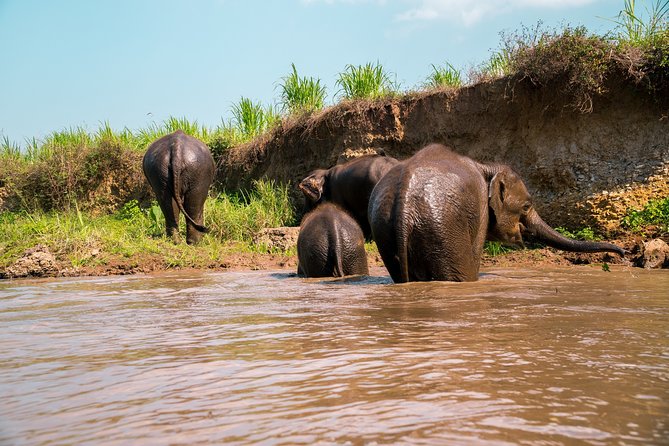 Full Day Chauffeur Driven Tuk Tuk Adventure in Chiang Mai including rafting - Riding through farms and small communities