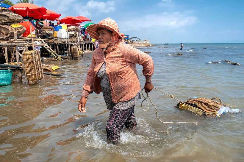 FULL DAY - Countryside Tuk-Tuk Pepper Tour + Kep - La Plantation and the flavor of Kampot pepper
