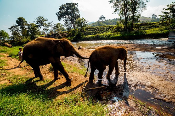 Full-Day Guided Tuk Tuk Chiang Mai Adventure and Rafting - A remote temple and village life