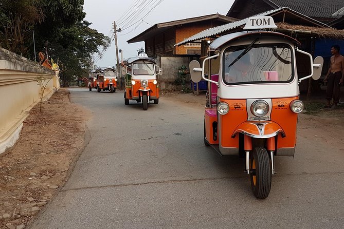 Full-Day Guided Tuk Tuk Chiang Mai Adventure and Rafting - Feeding and bathing elephants without riding