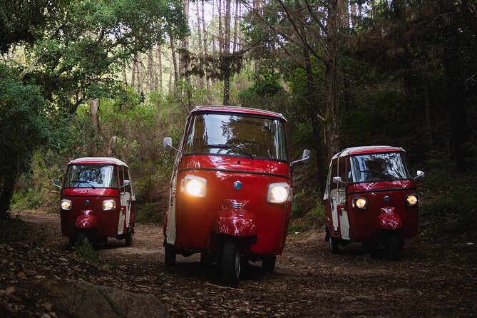 Full-Day Guided Tuk-Tuk Tour in Sintra - Monserrate and the road toward the Atlantic