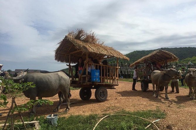Full-Day Kampot & Kep with a local Tuk Tuk Tours - The day at a glance