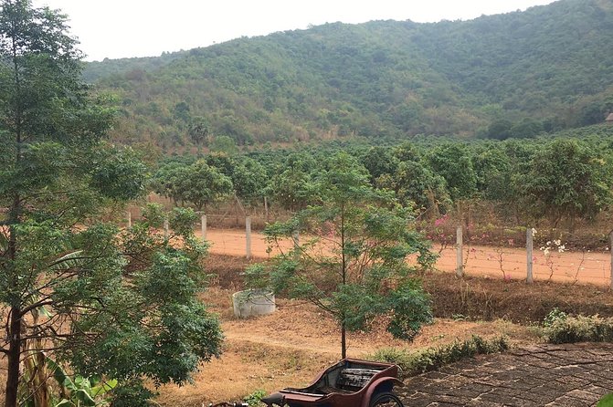 Full-Day Kampot & Kep with a local Tuk Tuk Tours - Phnom Chhngok Cave Temple requires sturdy footing