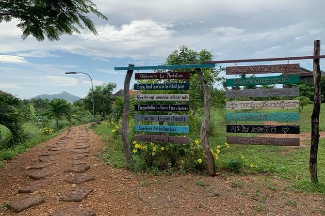 Full-Day Kampot & Kep with a local Tuk Tuk Tours - The buffalo cart near Secret Lake