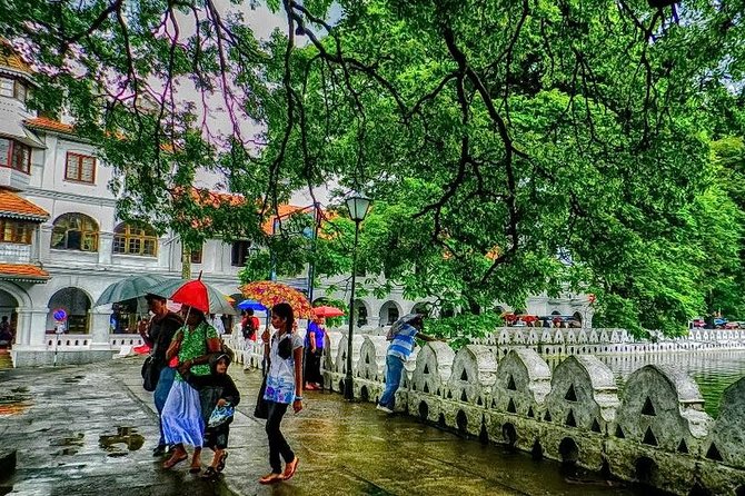 Full day Kandy walking tour with TUK TUK ride to Peradeniya gardens - Why this Kandy day works