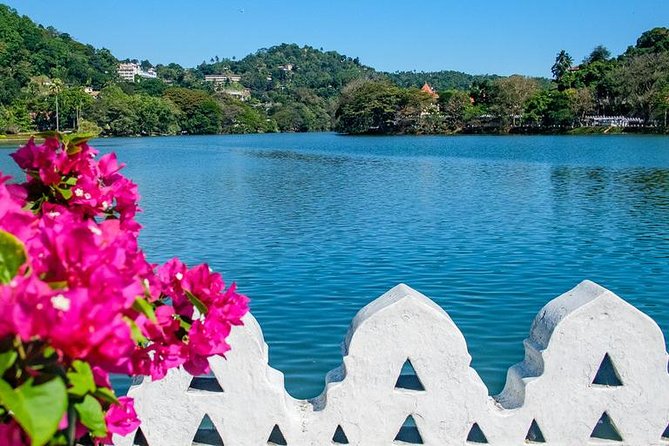 Full day Kandy walking tour with TUK TUK ride to Peradeniya gardens - Walking beside Kandy Lake and through the market