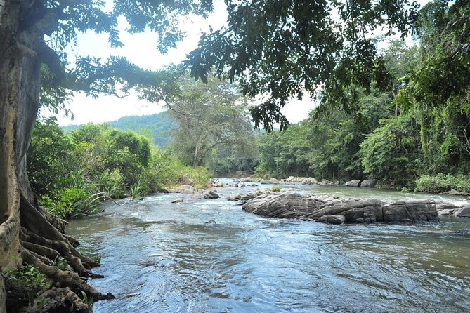 Full day Kandy walking tour with TUK TUK ride to Peradeniya gardens - Taking the tuk tuk to Peradeniya Gardens