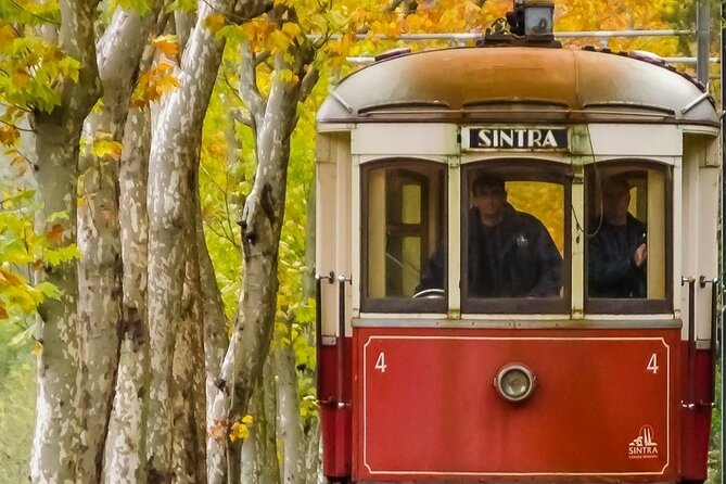 Full-Day Sintra Private Tour by TUK TUK - Quinta da Regaleira and its symbolic gardens