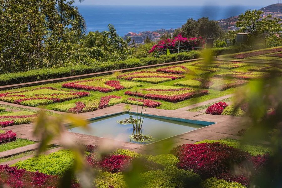 Funchal: Botanical Garden and Old Town Private Tuk-Tuk Tour - Why a tuk-tuk works so well in Funchal