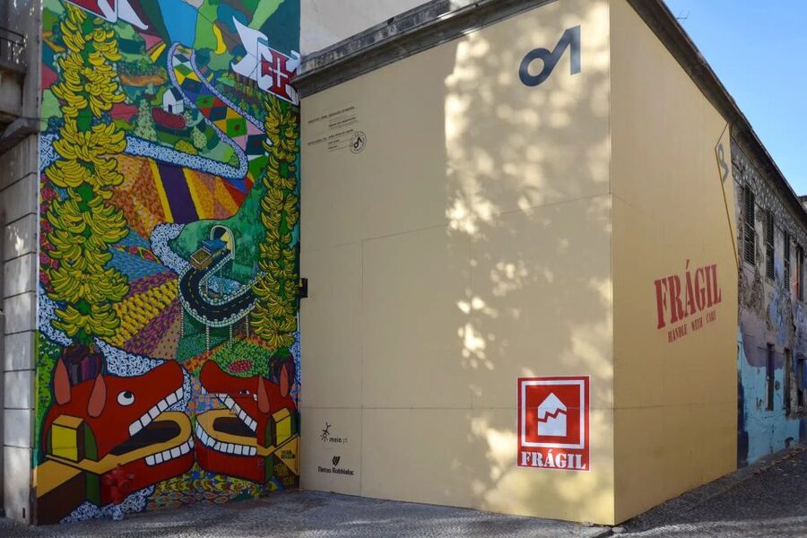 Funchal: Botanical Garden and Old Town Private Tuk-Tuk Tour - What the garden visit feels like